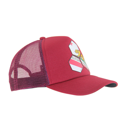 Op maat gedrukt rode truckerhoed, hoogwaardige zomer baseballpet.
