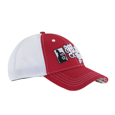 Voor gebogen Peak Mesh Trucker Caps 3D borduurwerk Baseball Caps 4 panelen