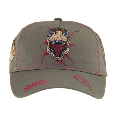 Op maat gemaakte Dragon Embroidery Baseball Caps, Low Profile Kids Verstelbare Cotton Outdoor Caps