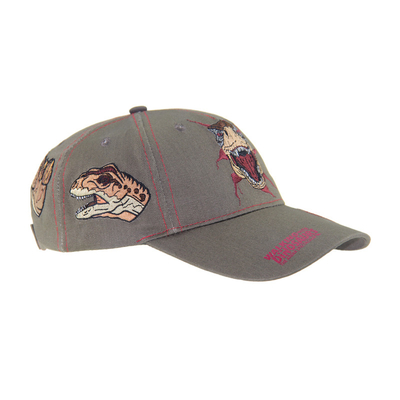 Op maat gemaakte Dragon Embroidery Baseball Caps, Low Profile Kids Verstelbare Cotton Outdoor Caps